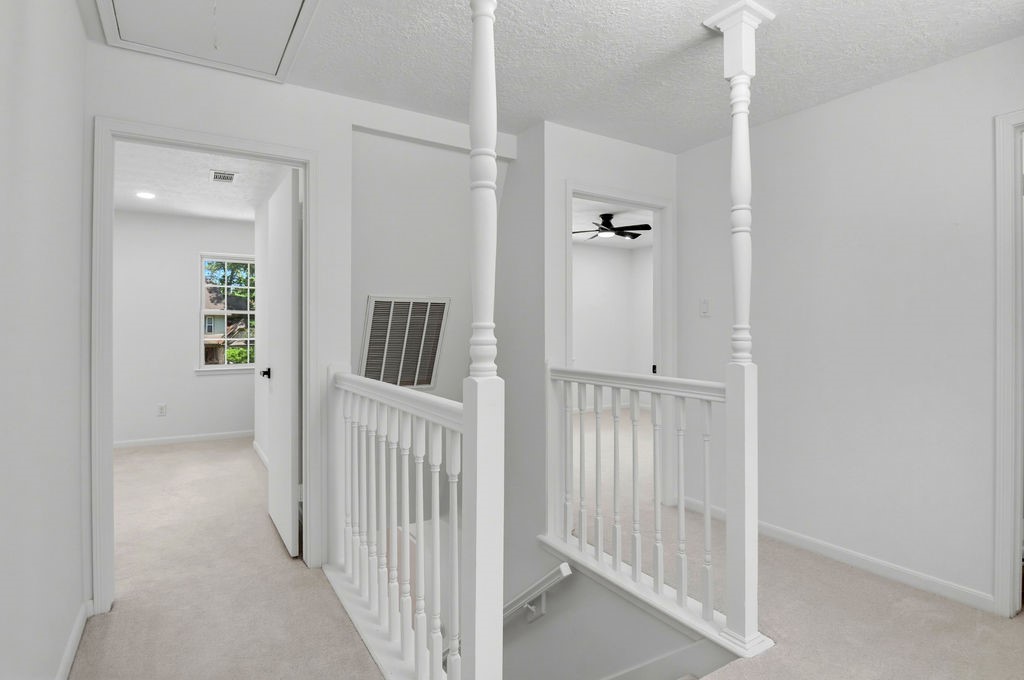 17807 Asphodel Lane Property Photo 24