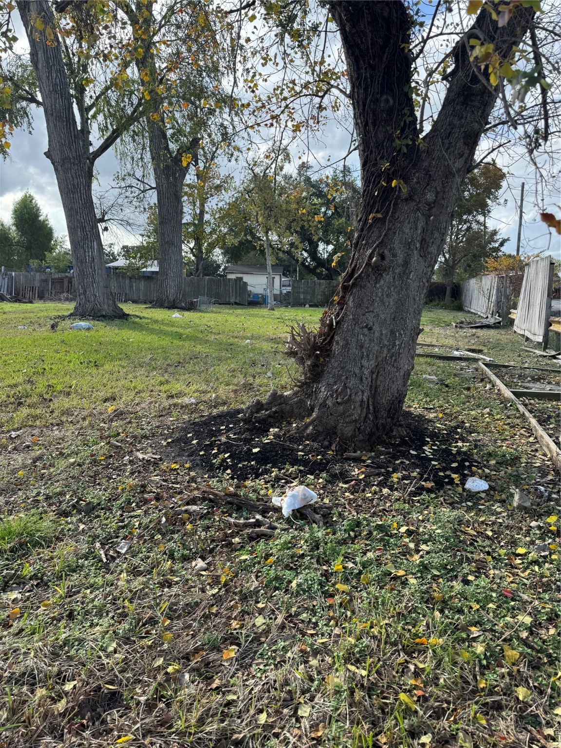 8605 Airline Drive Property Photo 3
