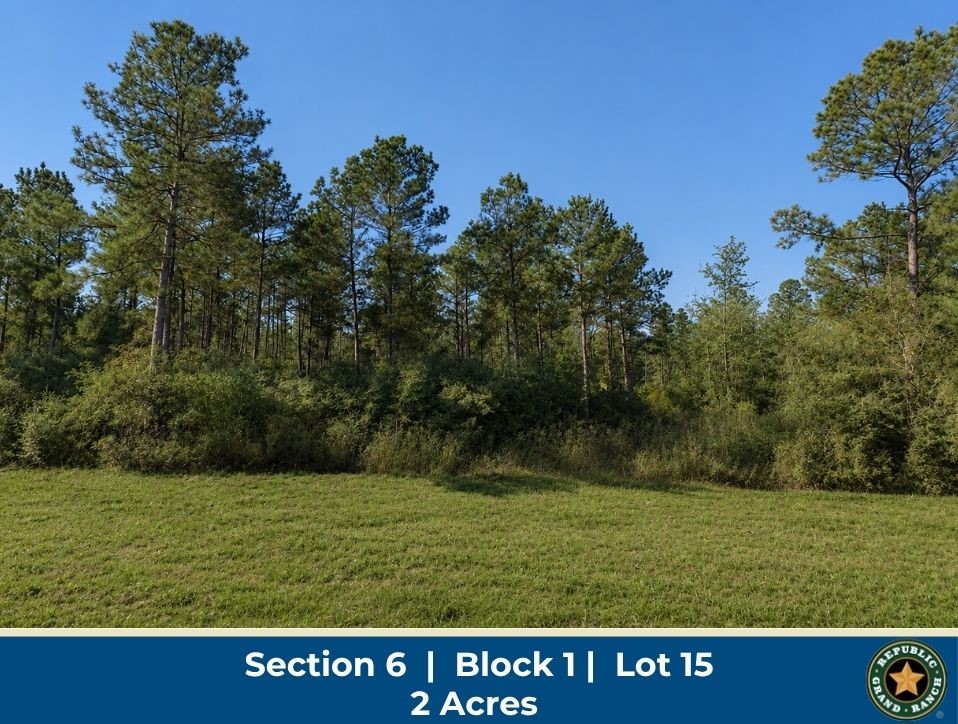 11706 Grand North Road Property Photo 1