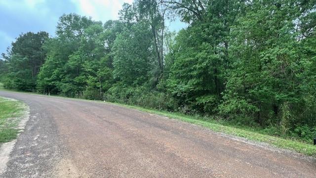 Tbd Lot 13 & 14 Eastgate, Livingston Tx 77351 Property Photo 1