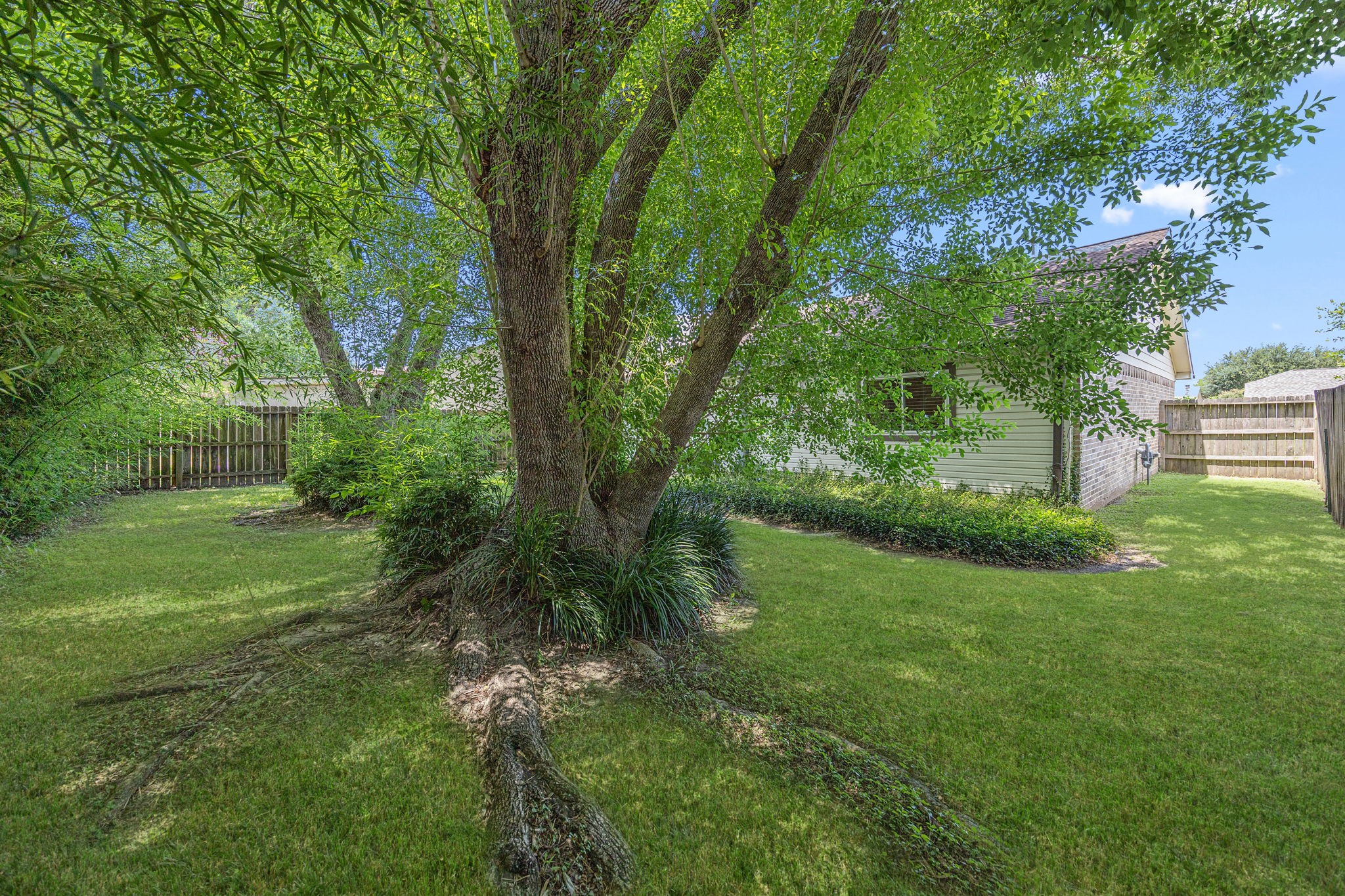 10719 Lakewood Oaks Drive Property Photo 20