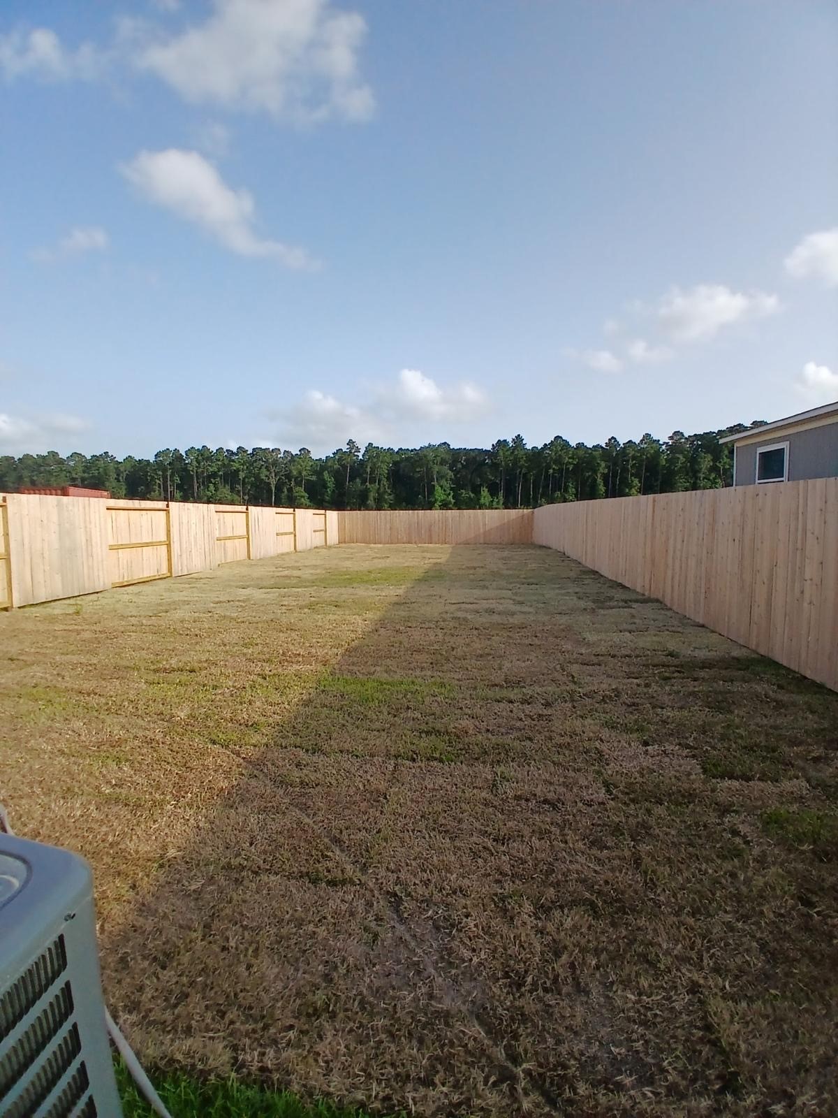 1132 Long Leaf Pine Street Property Photo 10