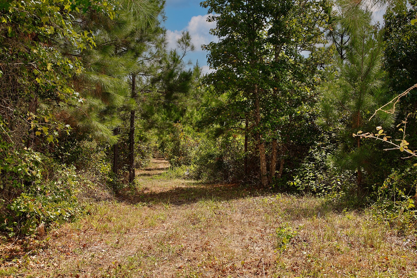 1929 Tx-110 Property Photo 24