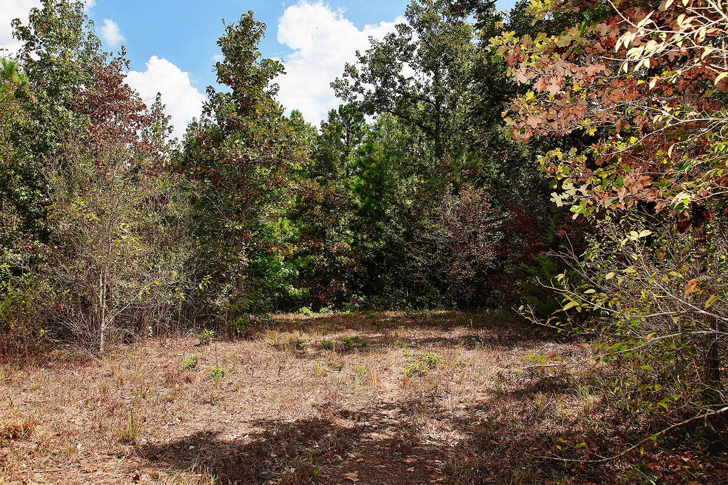 1929 Tx-110 Property Photo 41