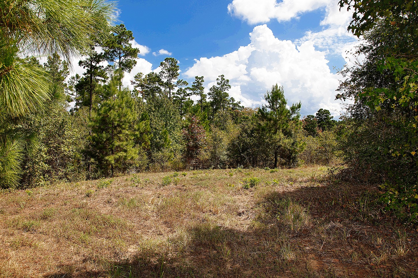 1929 Tx-110 Property Photo 49
