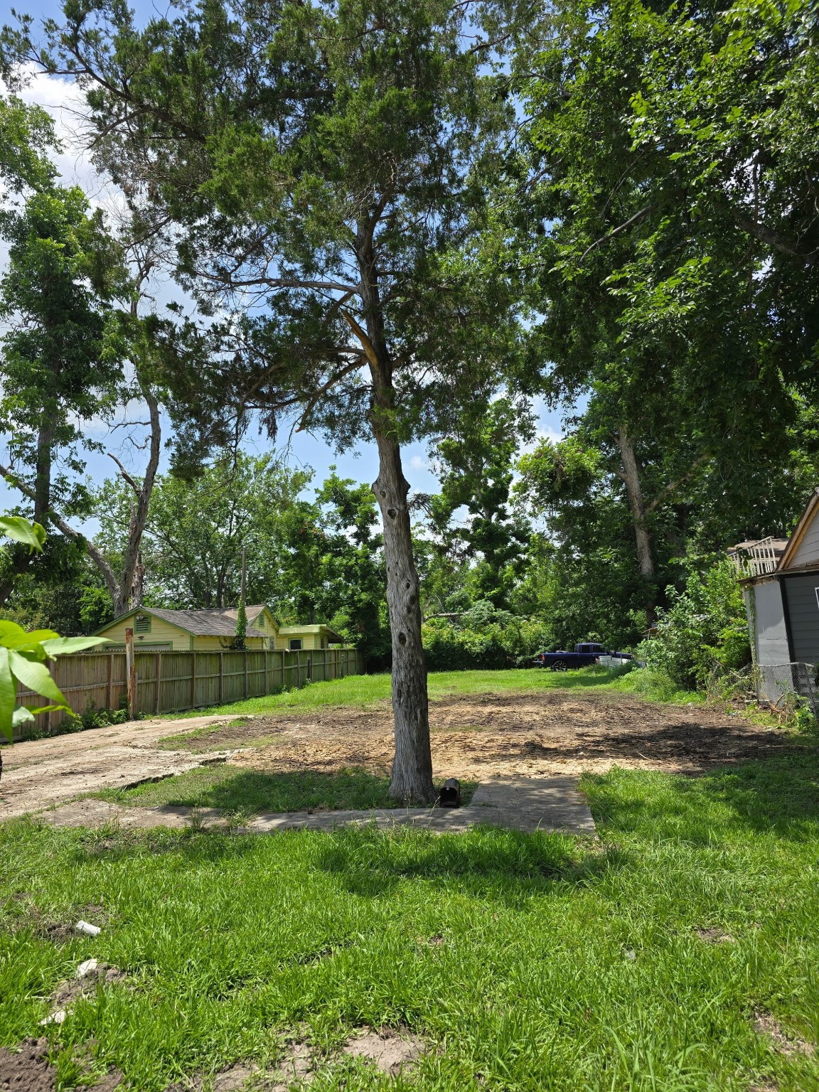 9009 Harrell Street Property Photo 4