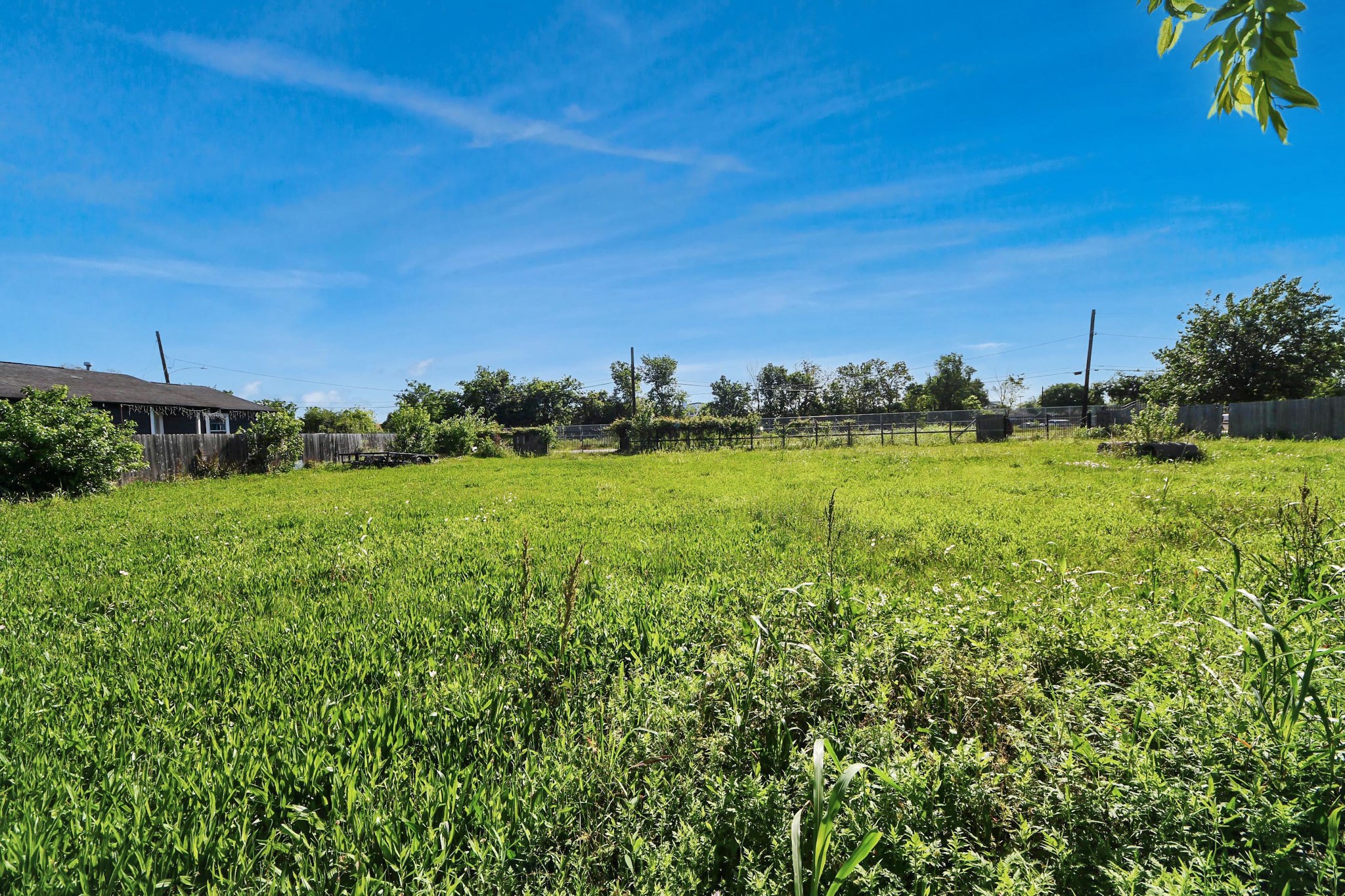1403 Press Street Property Photo 5