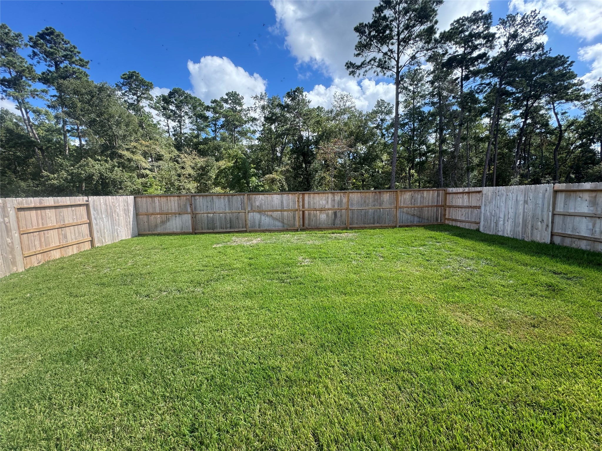 6031 Ash Willow Court Property Photo 28