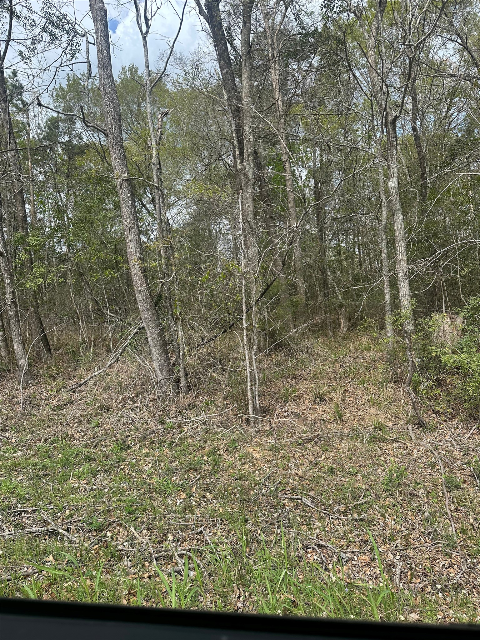 00 Cedar Valley Drive Property Photo 4