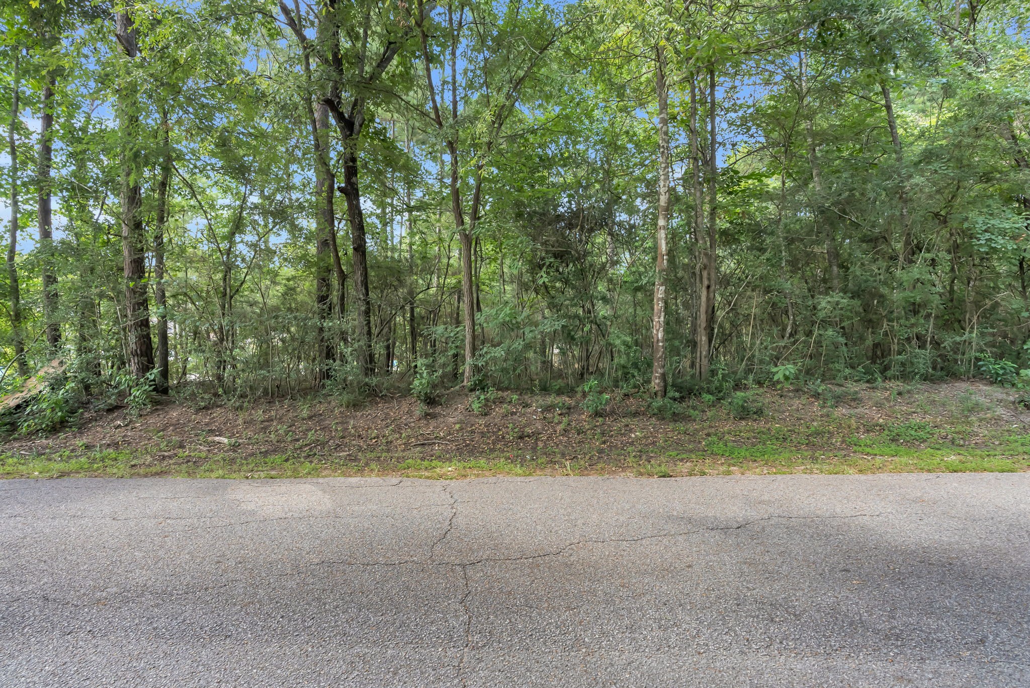 00 Evergreen Lane Property Photo 3