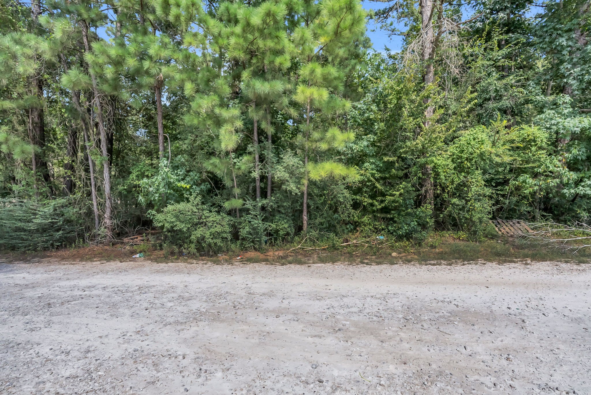 00 Evergreen Lane Property Photo 4
