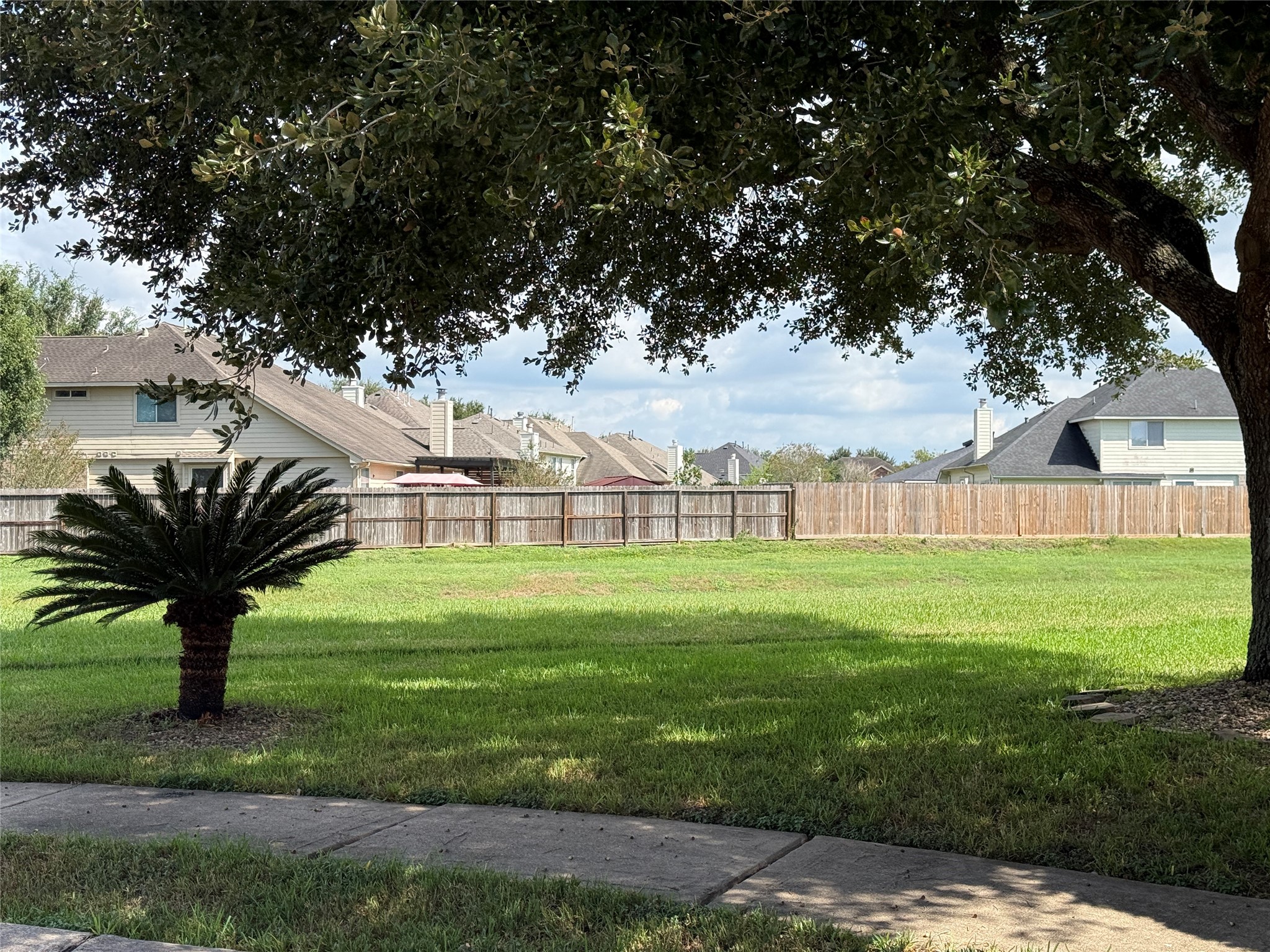2303 Amber Wheat Court Property Photo 22