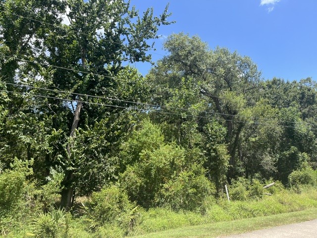 1131 Bronco Trail Property Photo 1