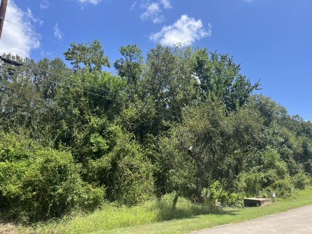 1131 Bronco Trail Property Photo 2