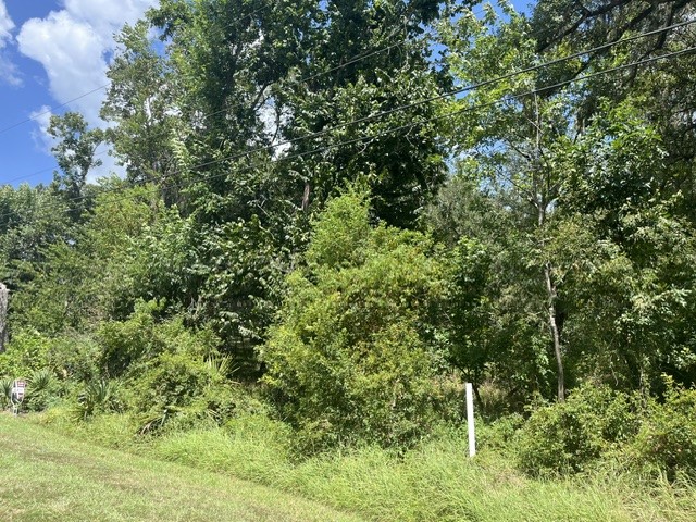 1131 Bronco Trail Property Photo 3