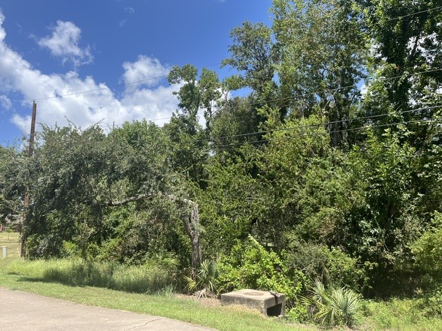 1131 Bronco Trail Property Photo 4