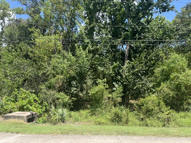 1131 Bronco Trail Property Photo 5