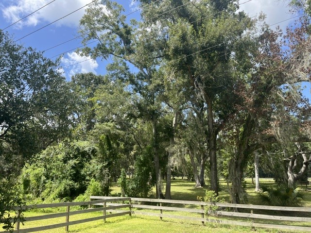 1131 Bronco Trail Property Photo 15