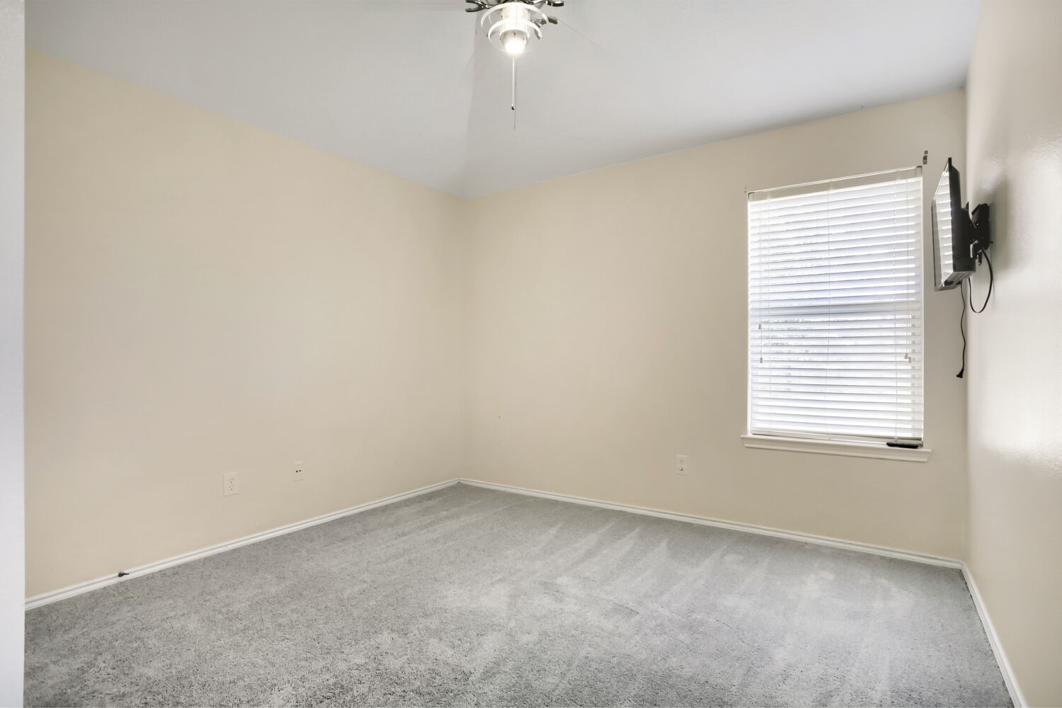 7819 Summerdale Drive Property Photo 11