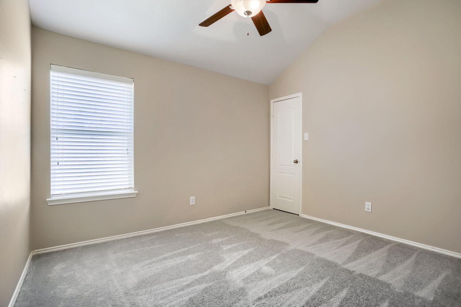 7819 Summerdale Drive Property Photo 13
