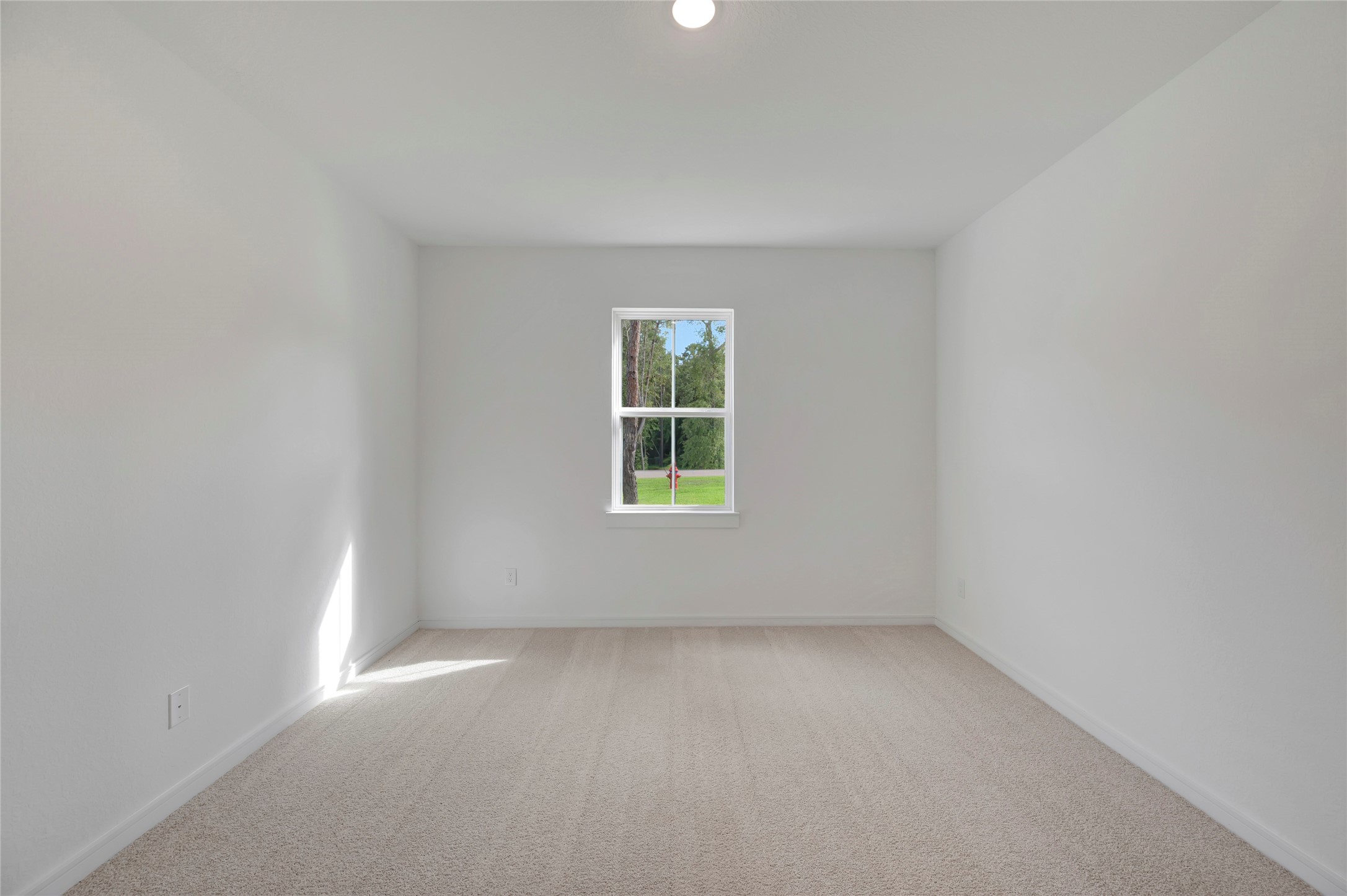 13747 Pamela Belle Path Property Photo 22