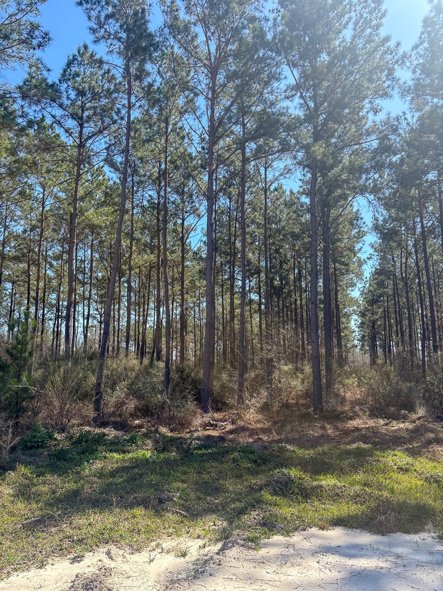 1653 Private Road 8160 Property Photo 6