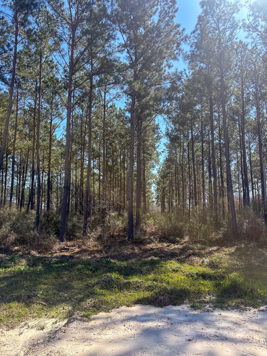1653 Private Road 8160 Property Photo 7