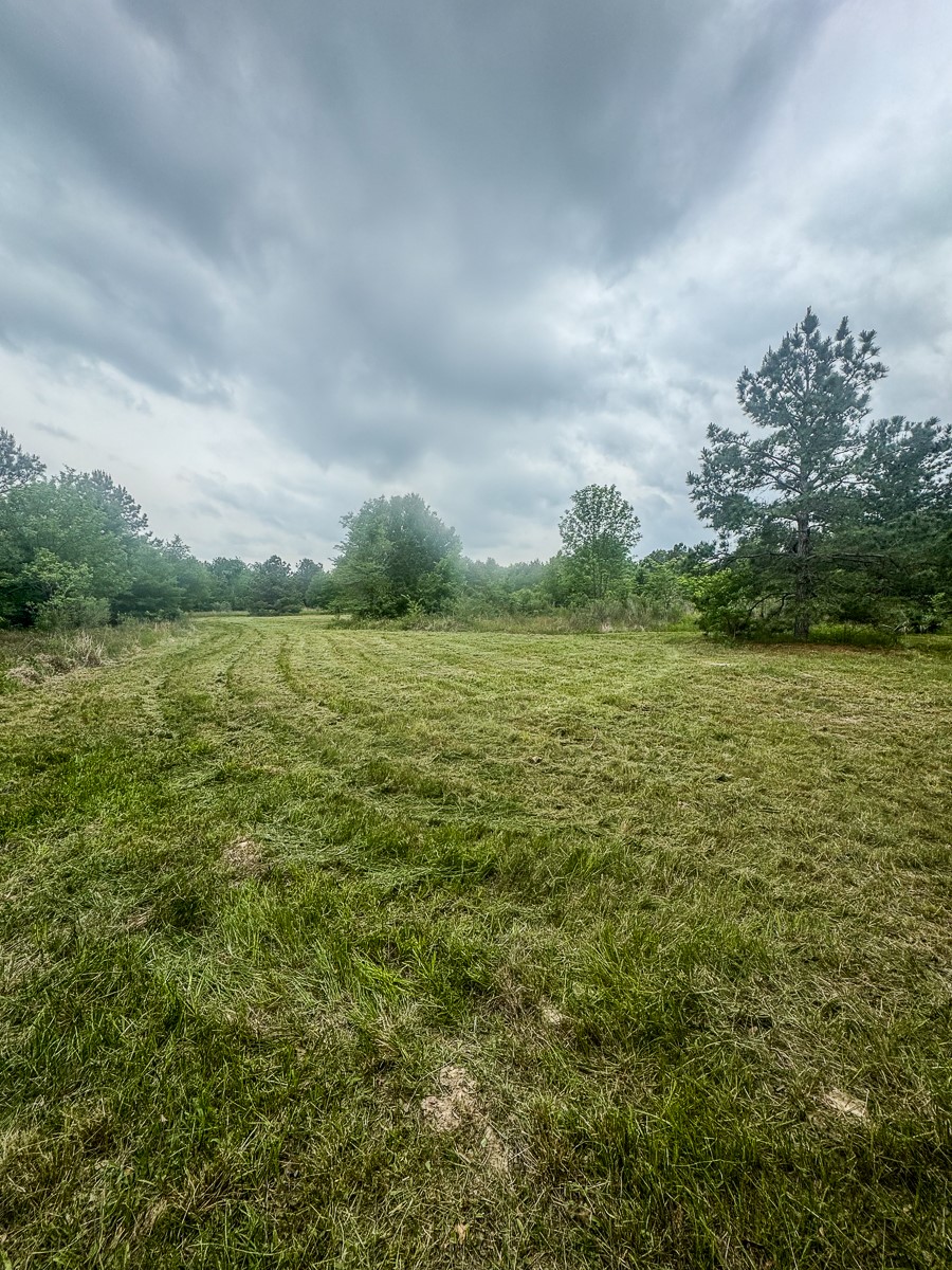 1653 Private Road 8160 Property Photo 8