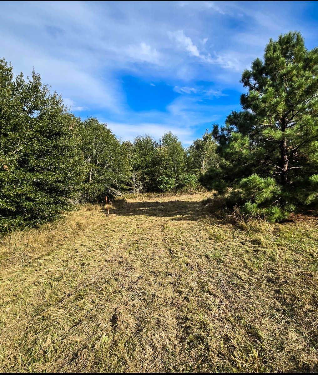 1653 Private Road 8160 Property Photo 9
