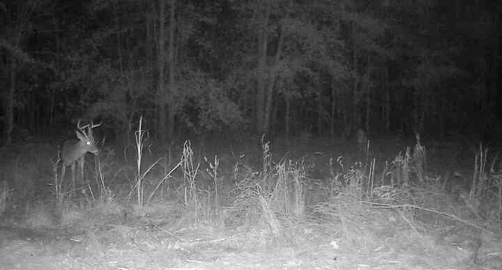 1653 Private Road 8160 Property Photo 13