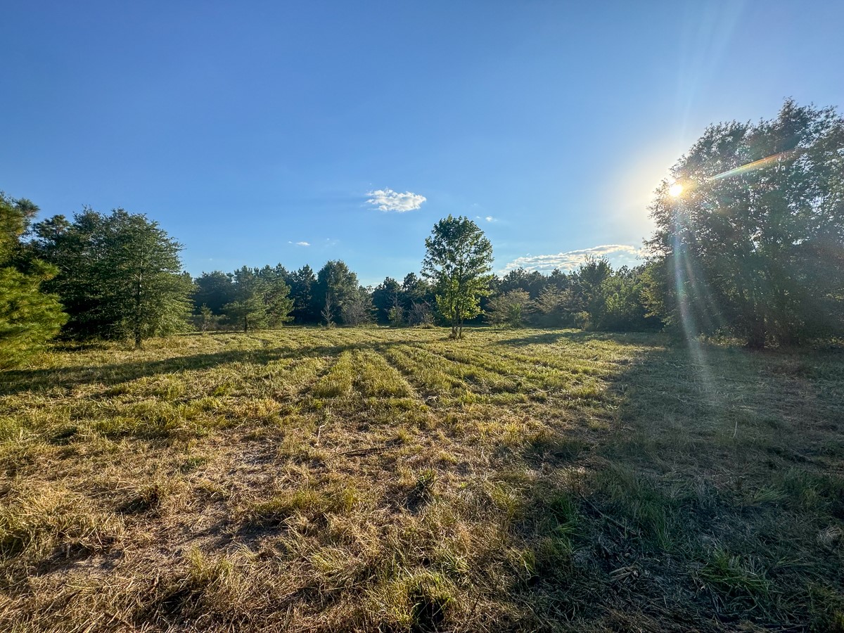1653 Private Road 8160 Property Photo 16