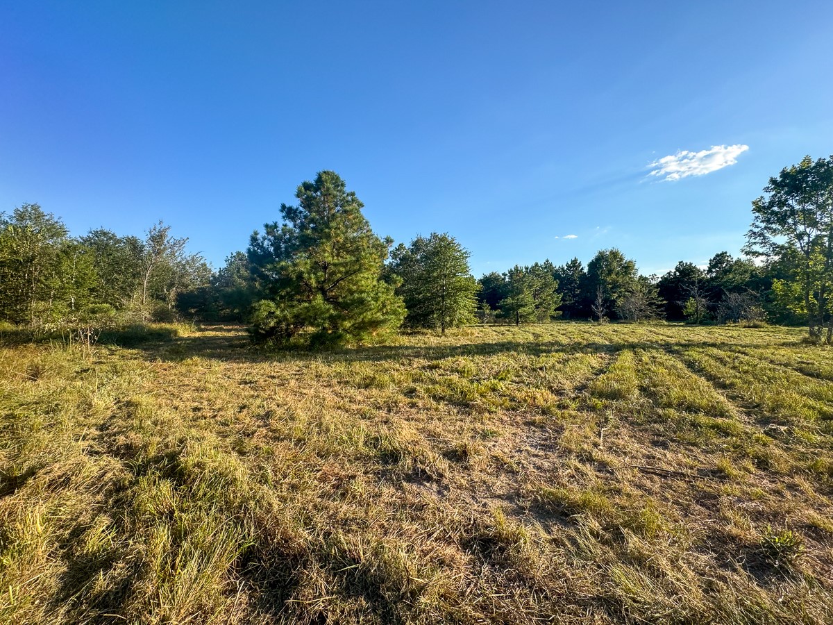 1653 Private Road 8160 Property Photo 17