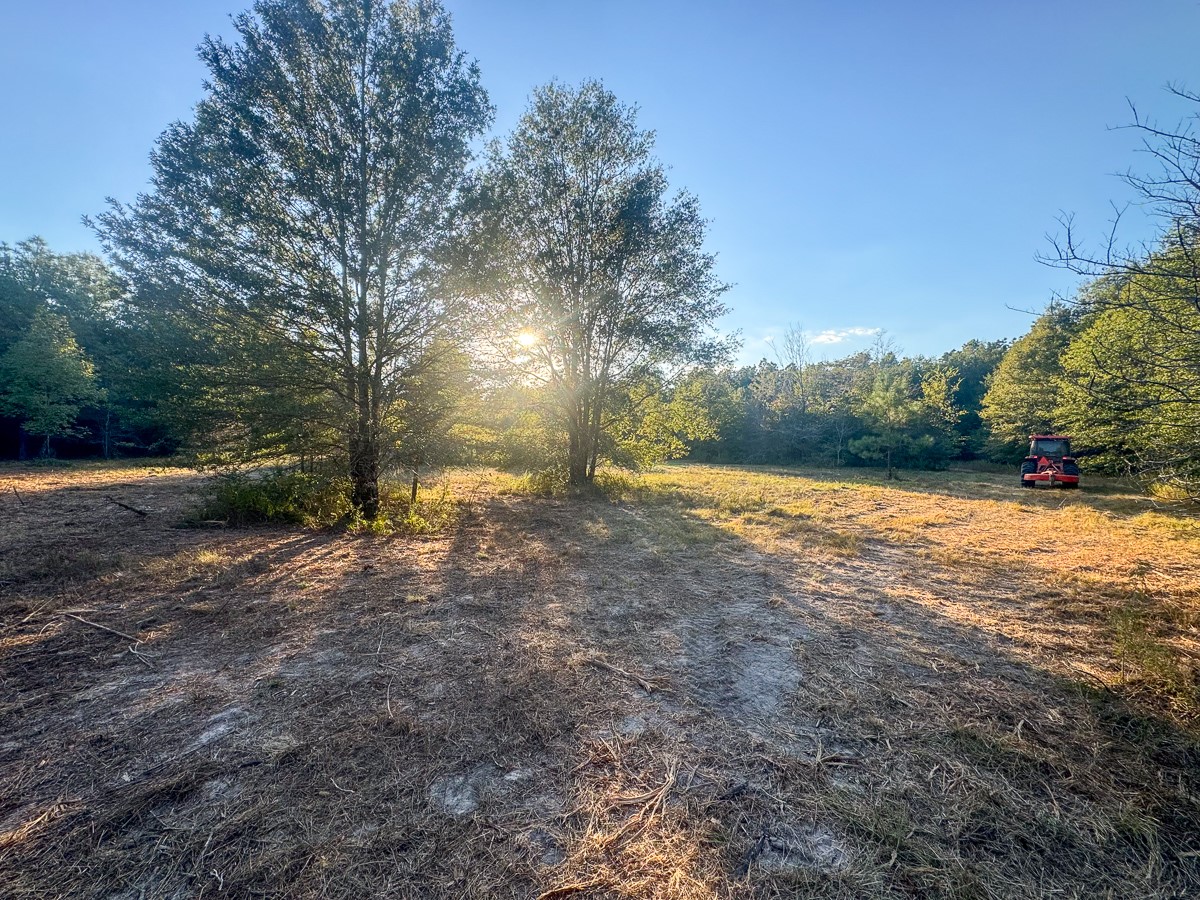 1653 Private Road 8160 Property Photo 18