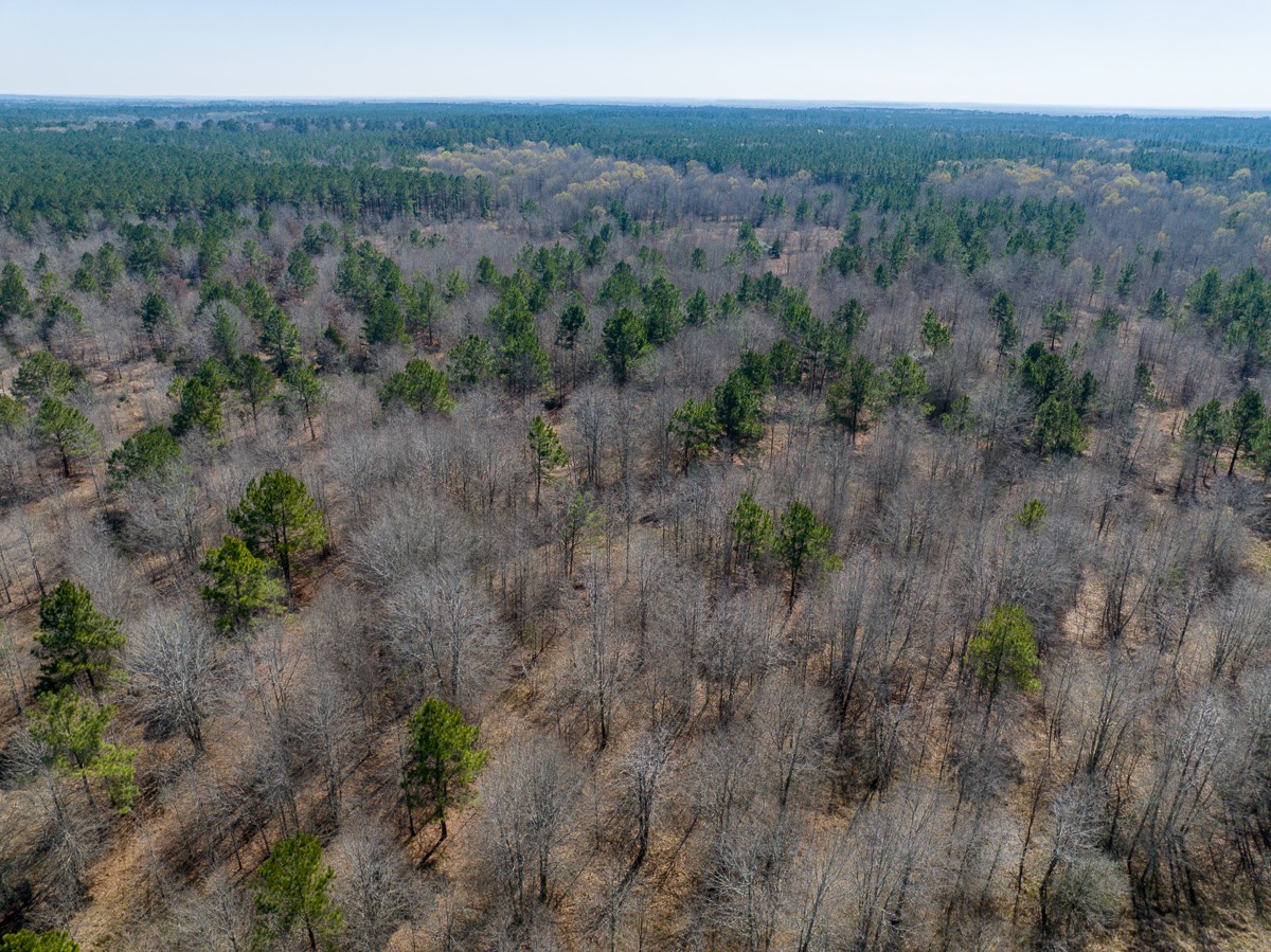 1653 Private Road 8160 Property Photo 23