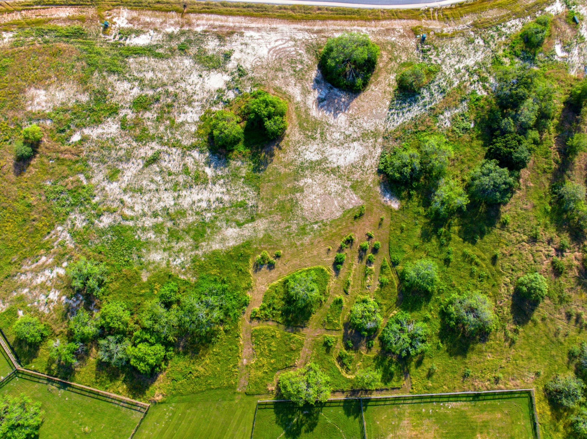 10705 Cook Crossing Property Photo 7