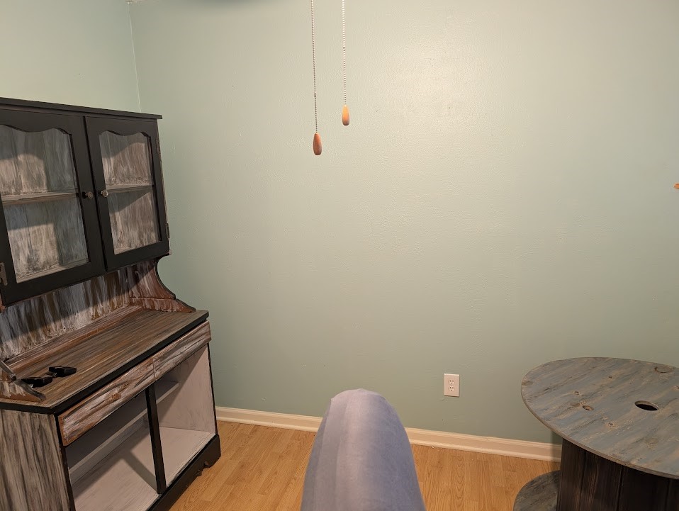 9830 Thistle Trail Drive Property Photo 10