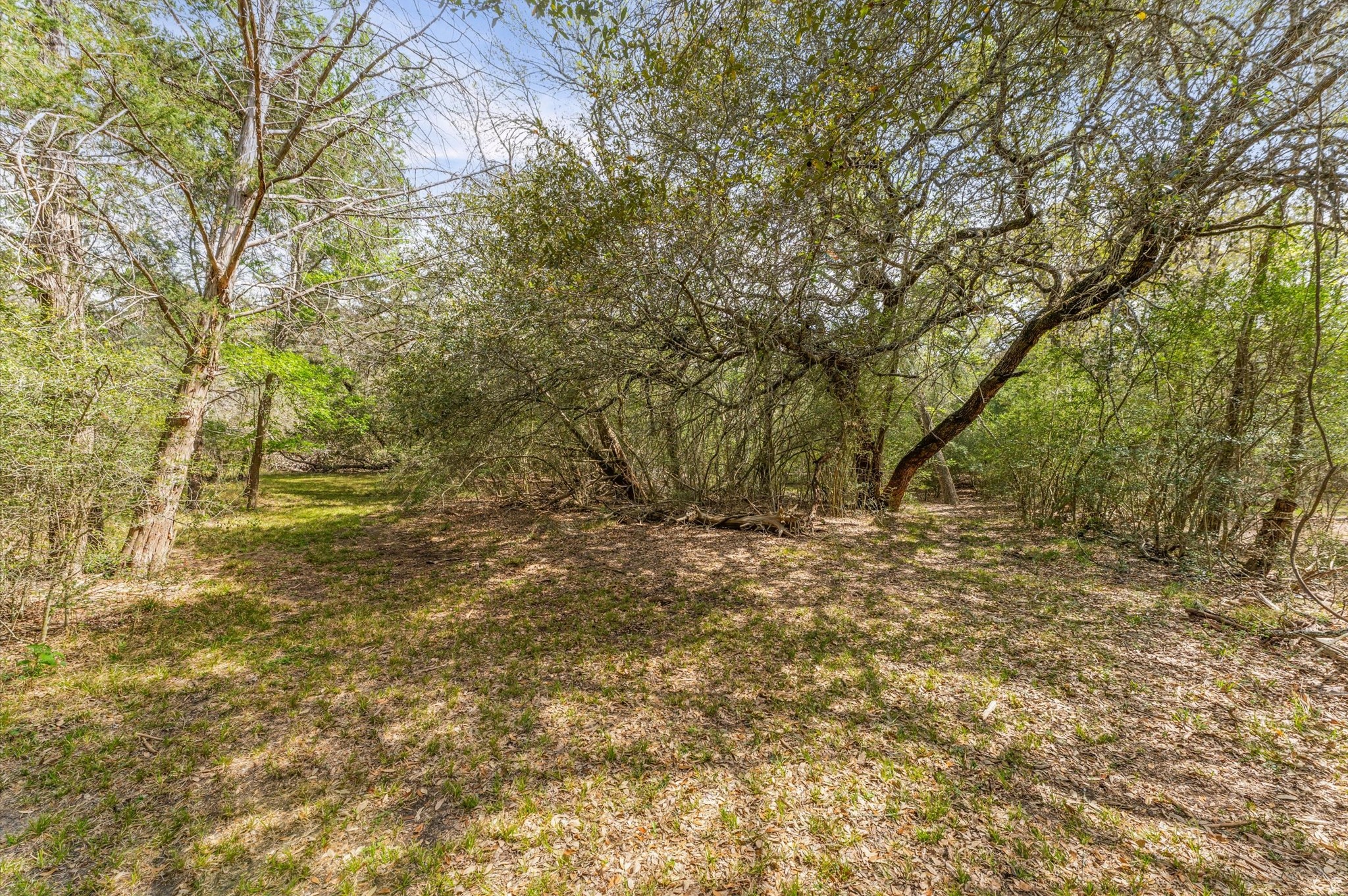 1221 Abel Road Property Photo 1