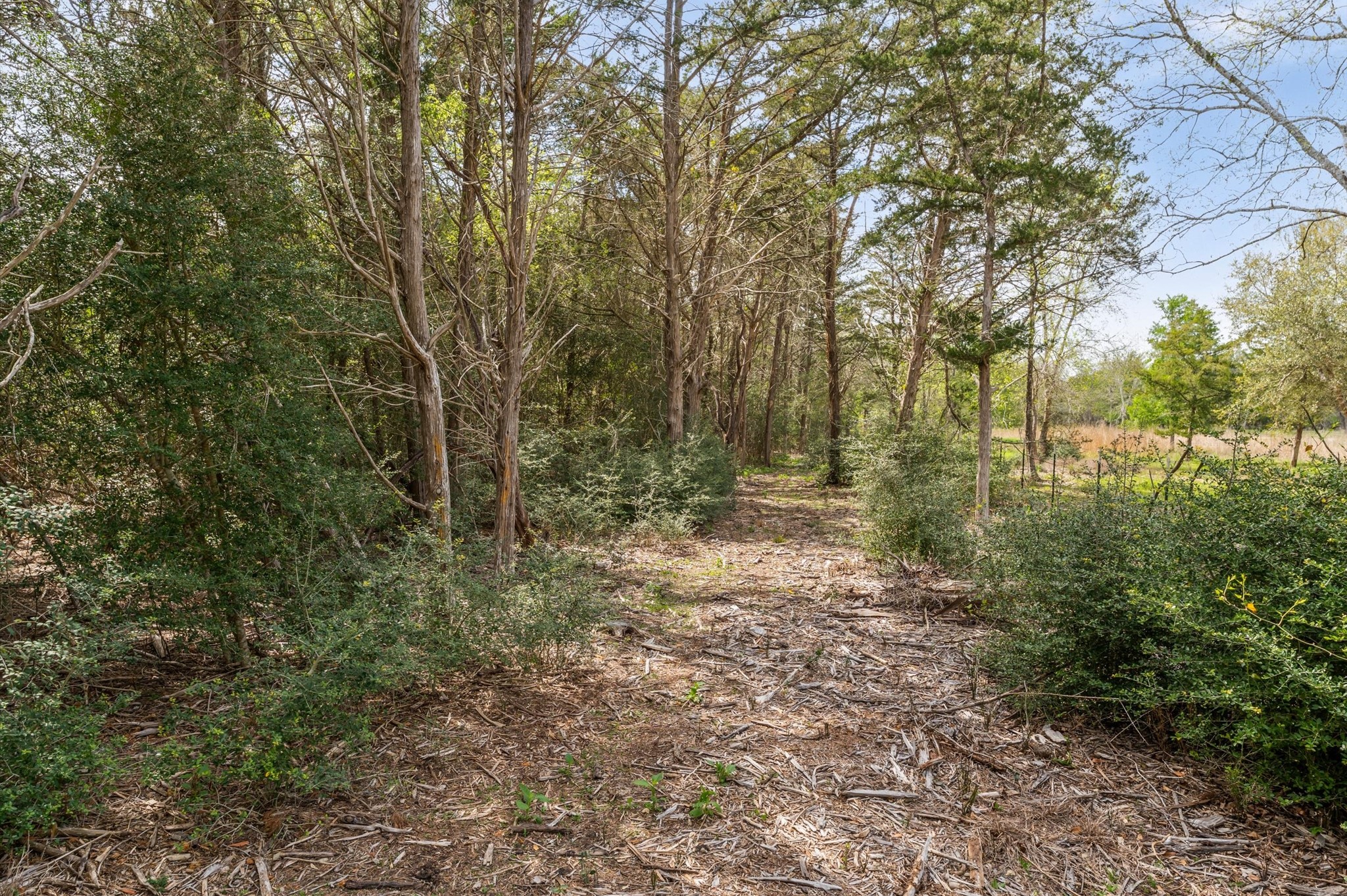1221 Abel Road Property Photo 5