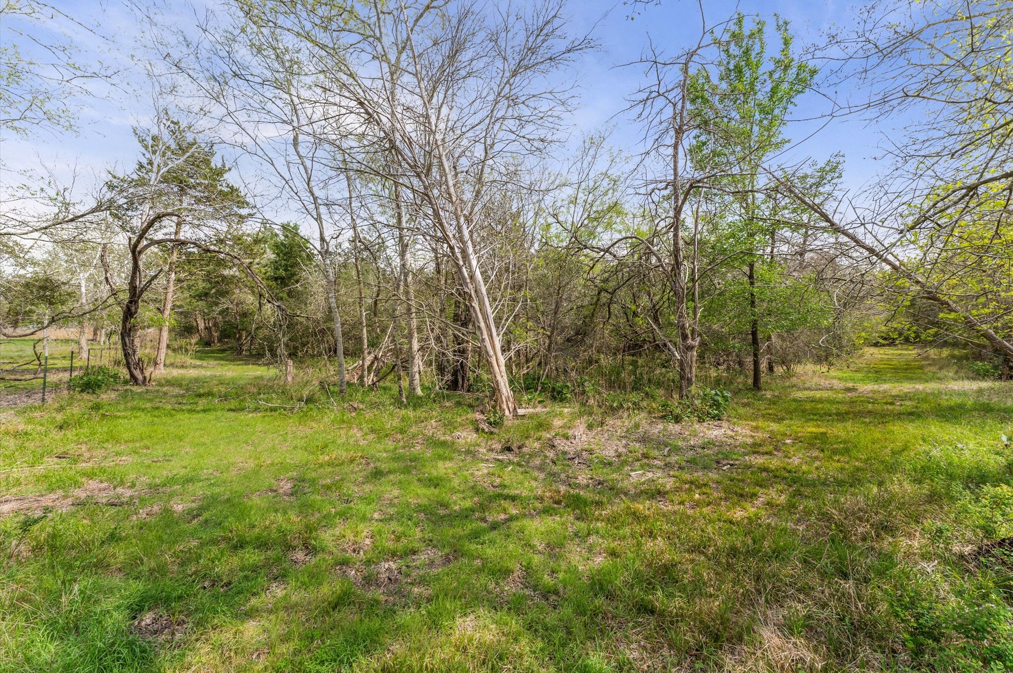1221 Abel Road Property Photo 6