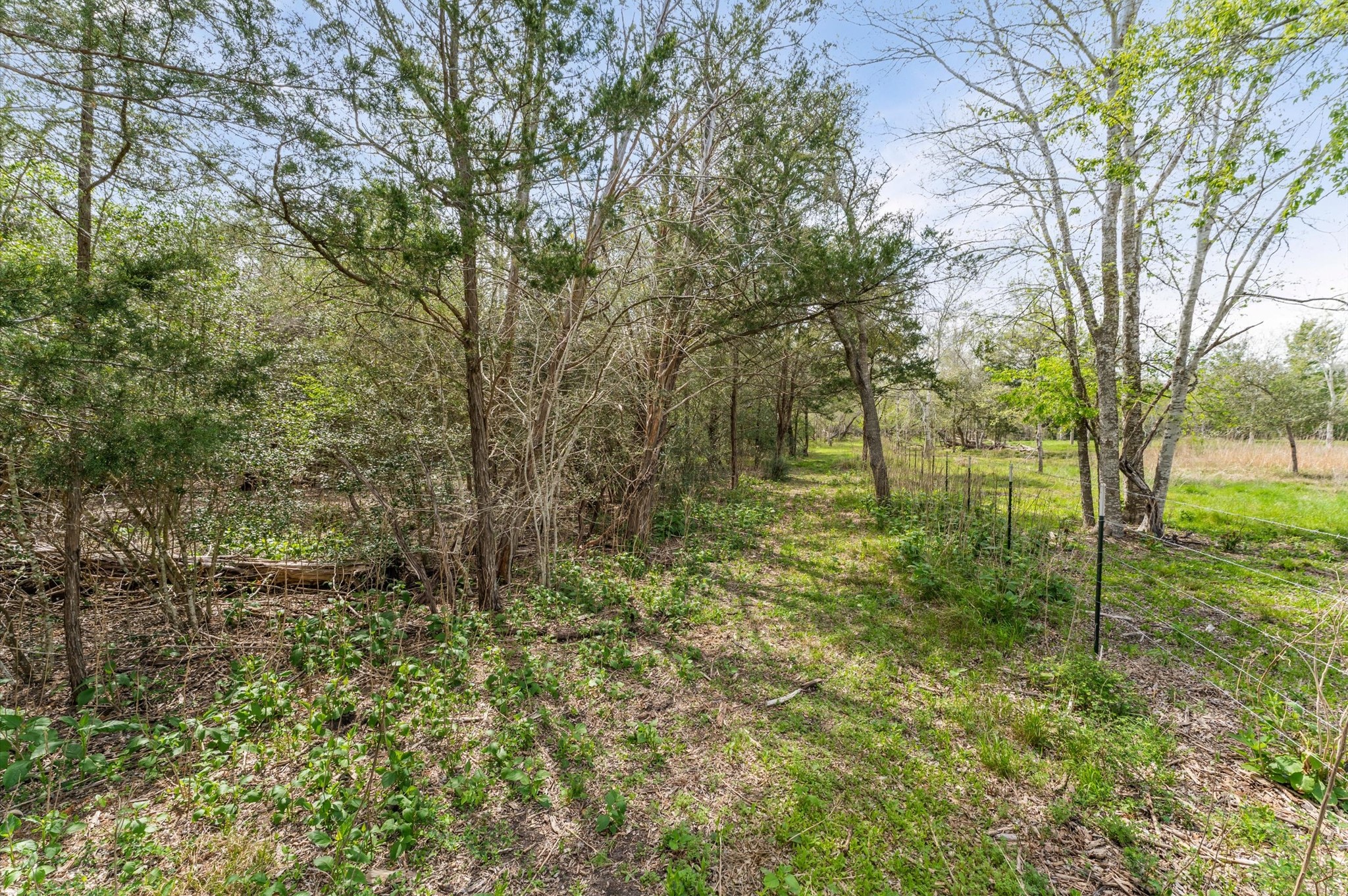 1221 Abel Road Property Photo 7