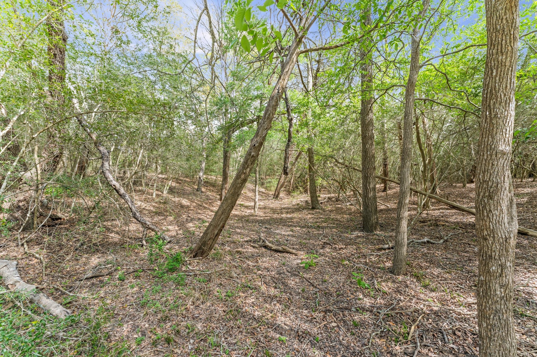 1221 Abel Road Property Photo 11