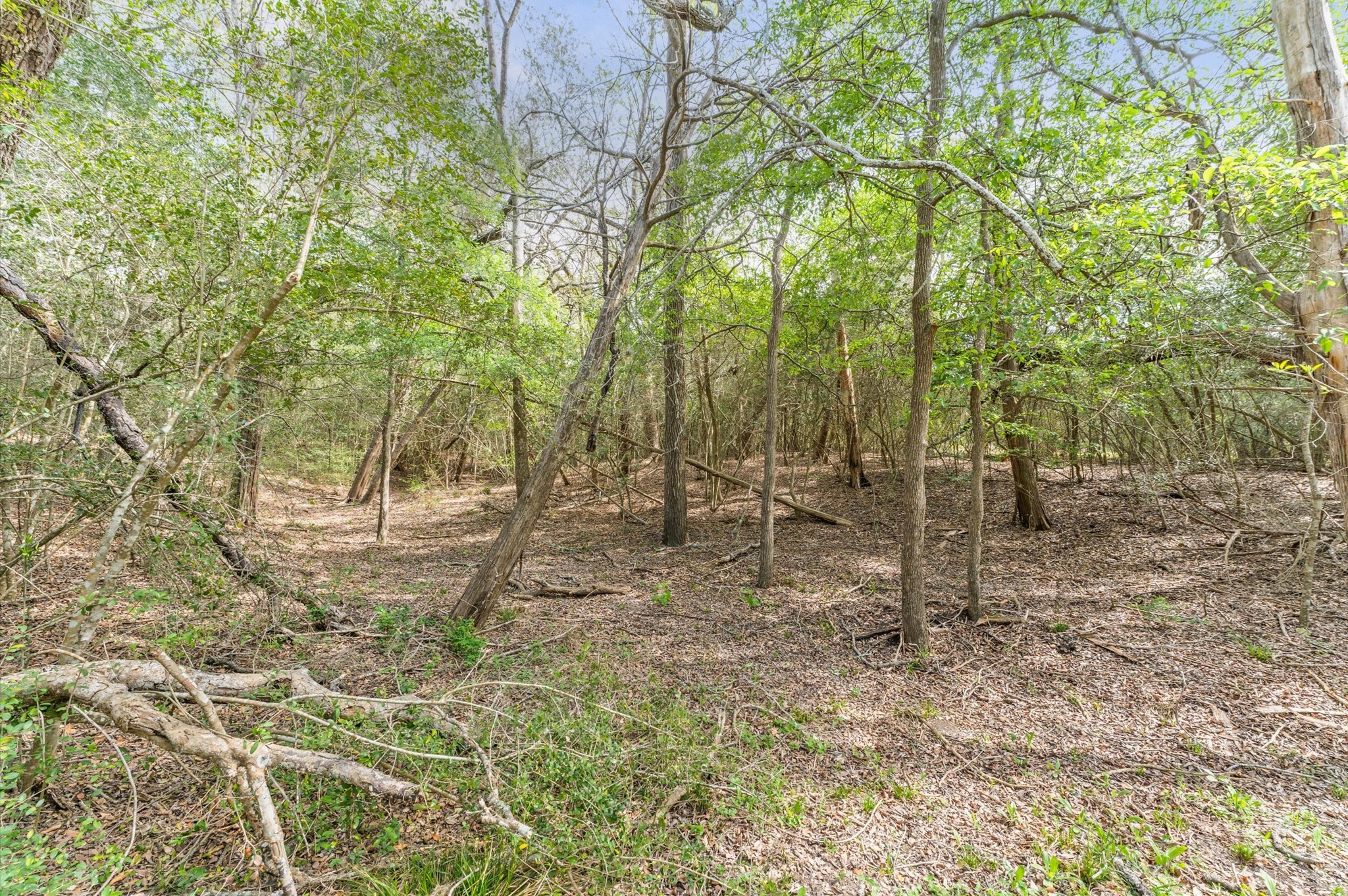 1221 Abel Road Property Photo 12