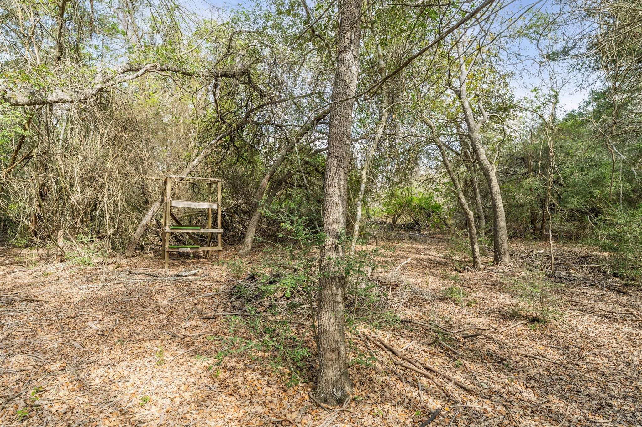 1221 Abel Road Property Photo 13