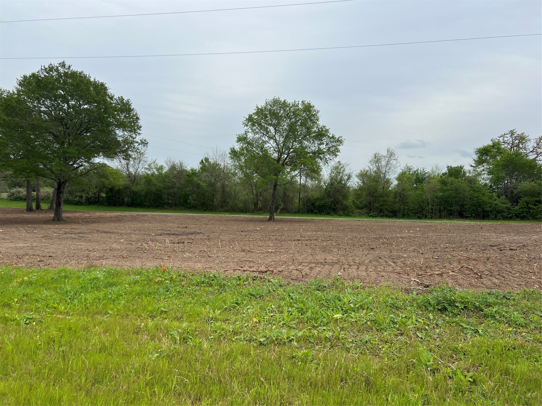 Lot #2 Tx-105 Property Photo 1