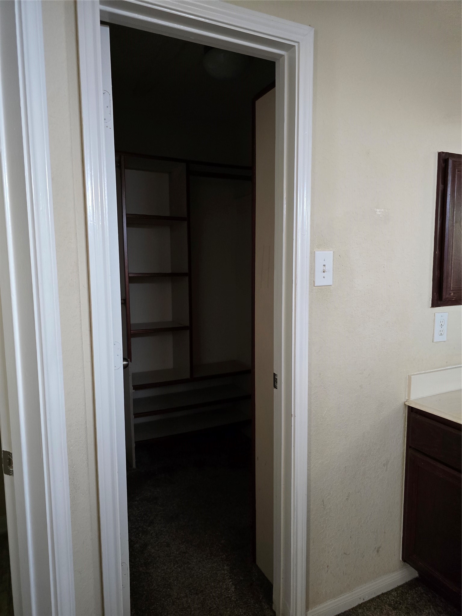 4807 Hackamore Brook Court Property Photo 6