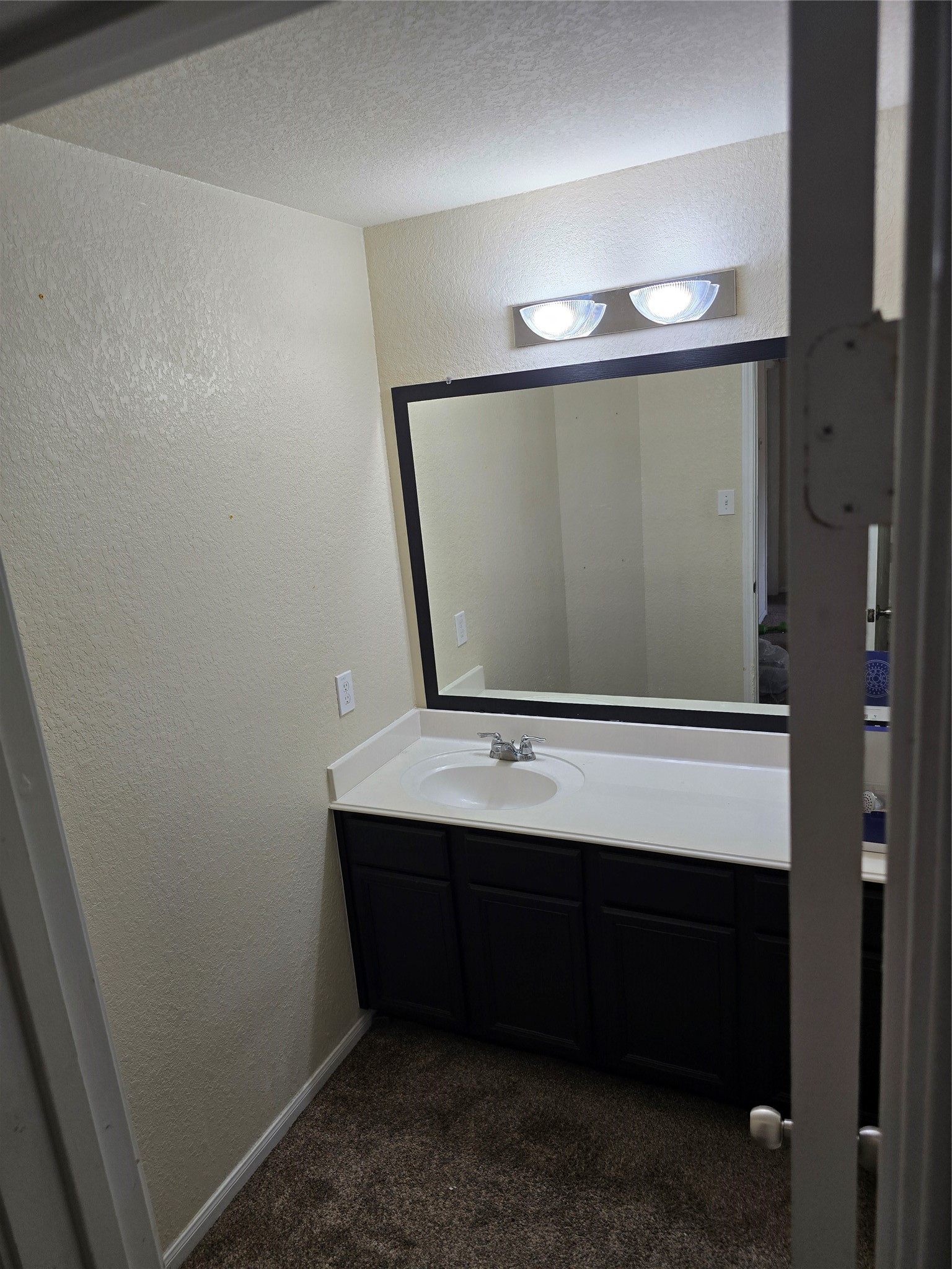 4807 Hackamore Brook Court Property Photo 11