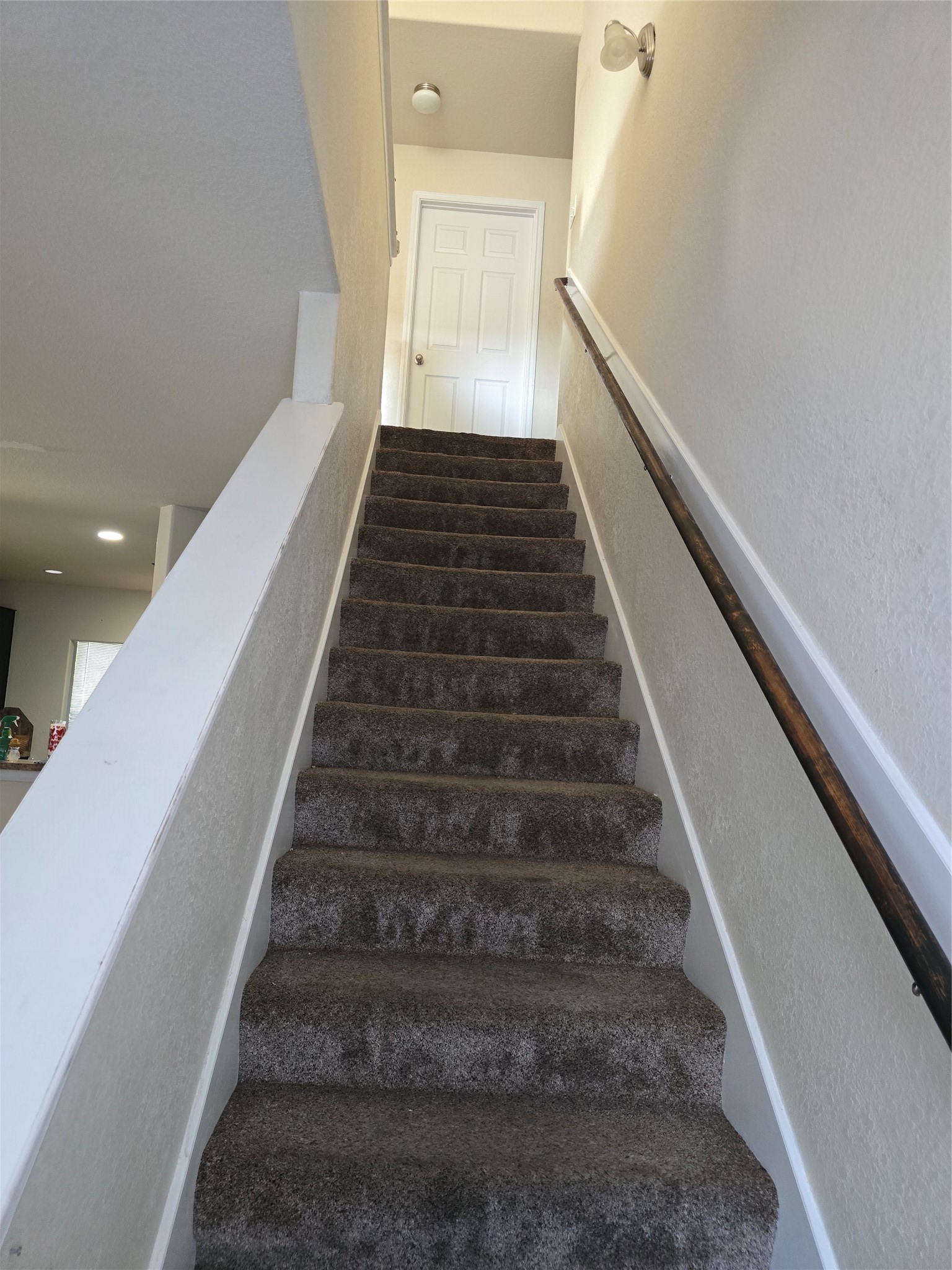 4807 Hackamore Brook Court Property Photo 14