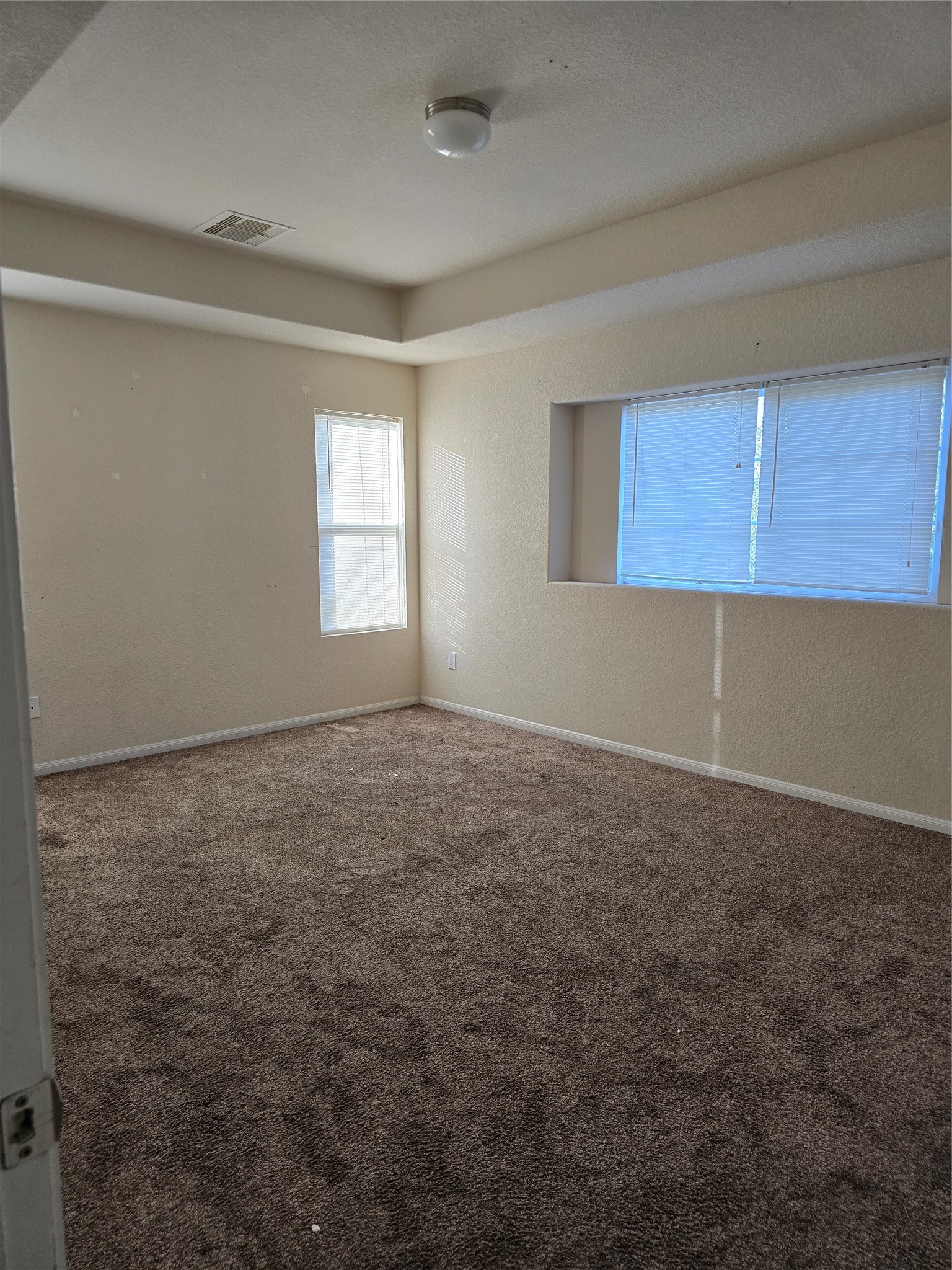 4807 Hackamore Brook Court Property Photo 17