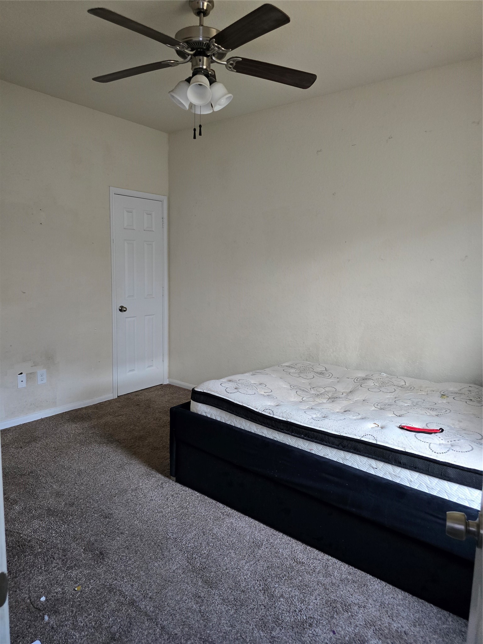 4807 Hackamore Brook Court Property Photo 18