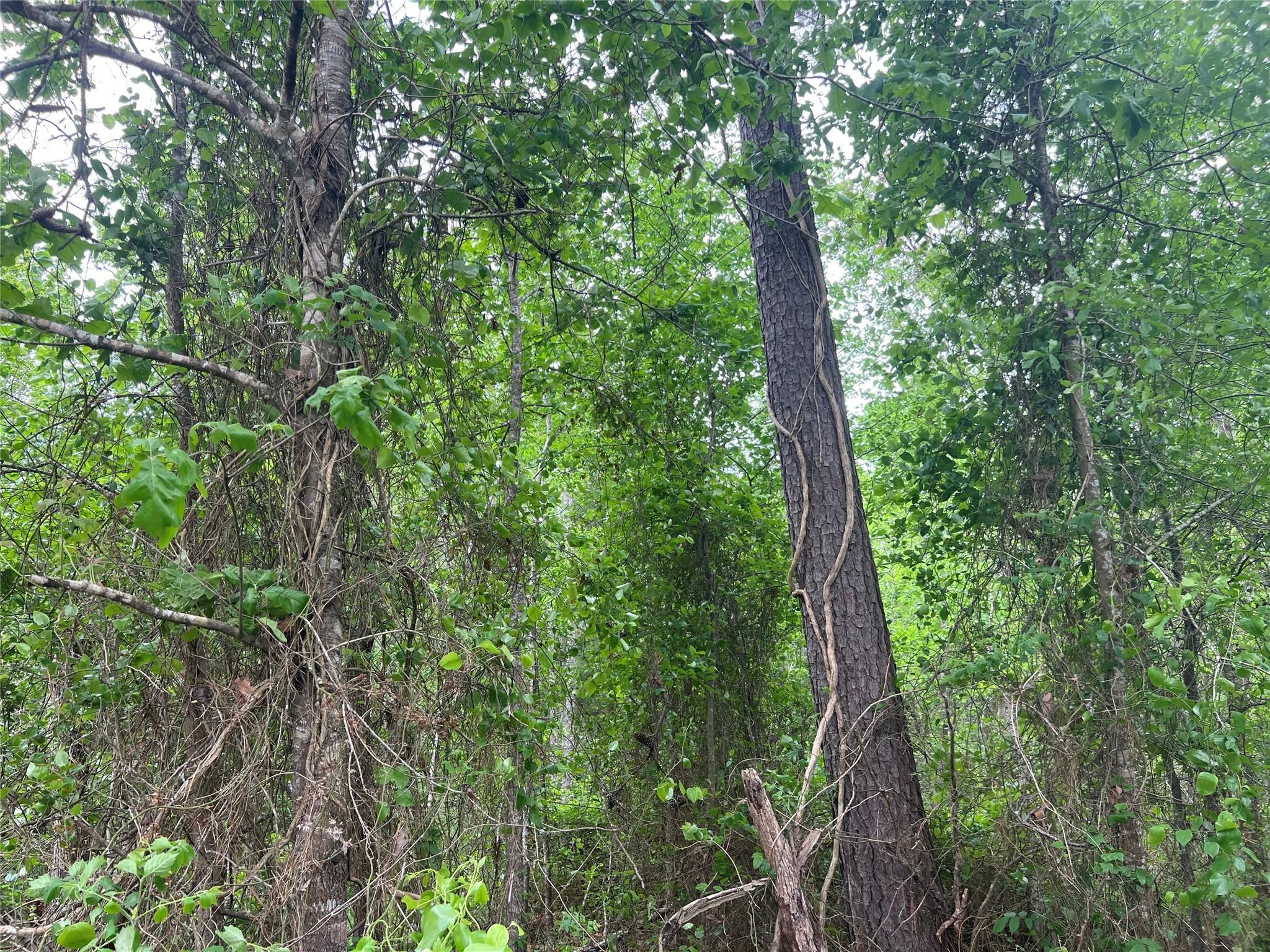 000 Cemetery Road Property Photo 1